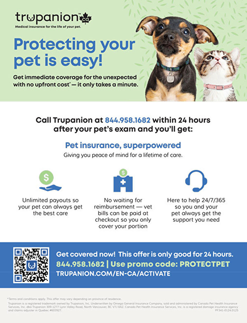 Exam Day Offer Flyer Canada