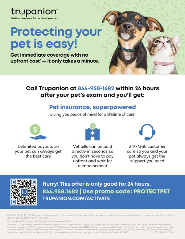 Exam Day Offer Flyer