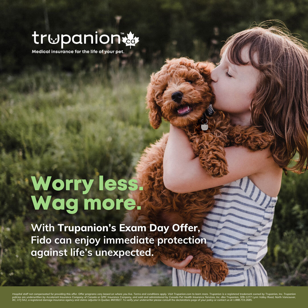 Sticky Note Exam Day Offer