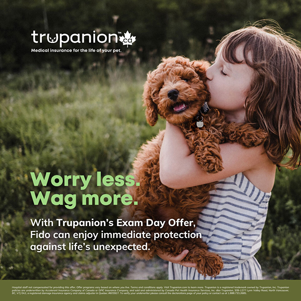 Sticky Note Exam Day Offer