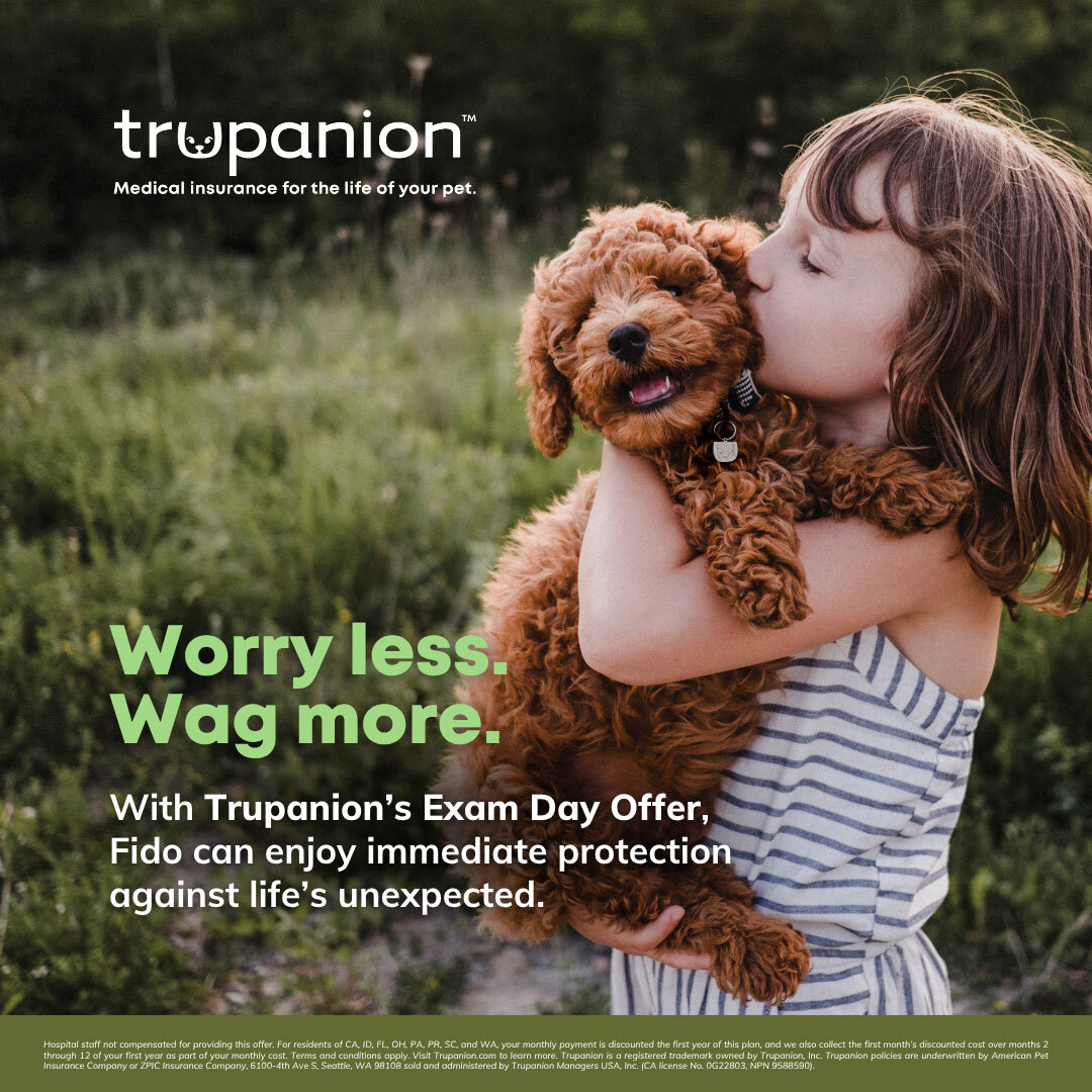 Sticky Note Exam Day Offer