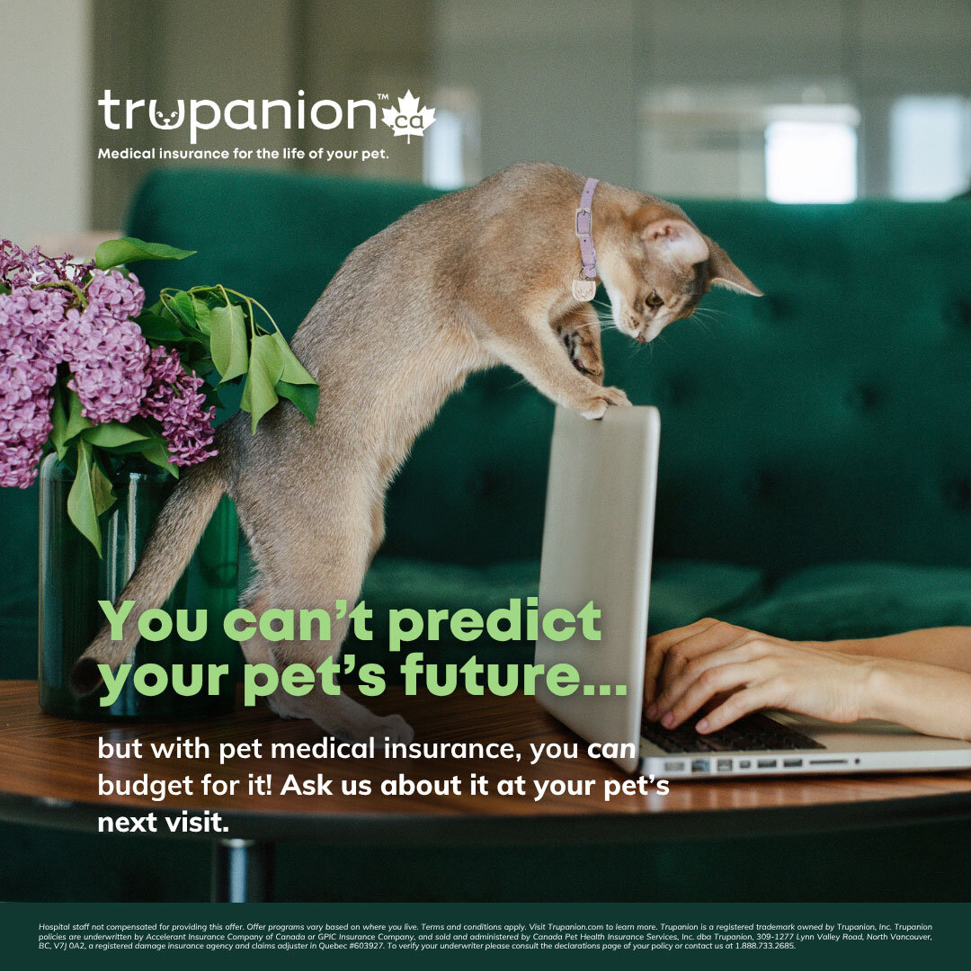 Sticky Note Exam Day Offer