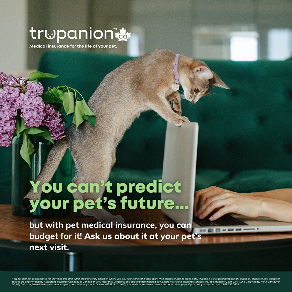 Sticky Note Exam Day Offer