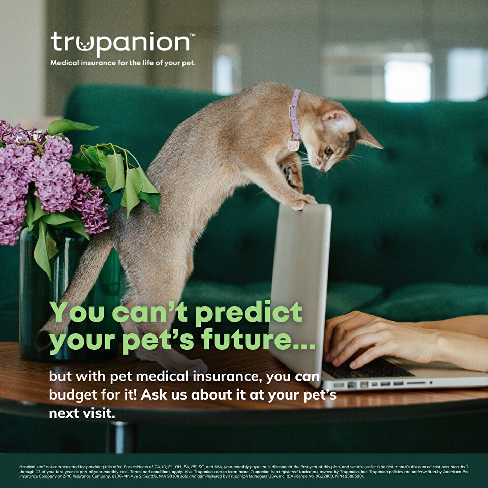 Sticky Note Exam Day Offer