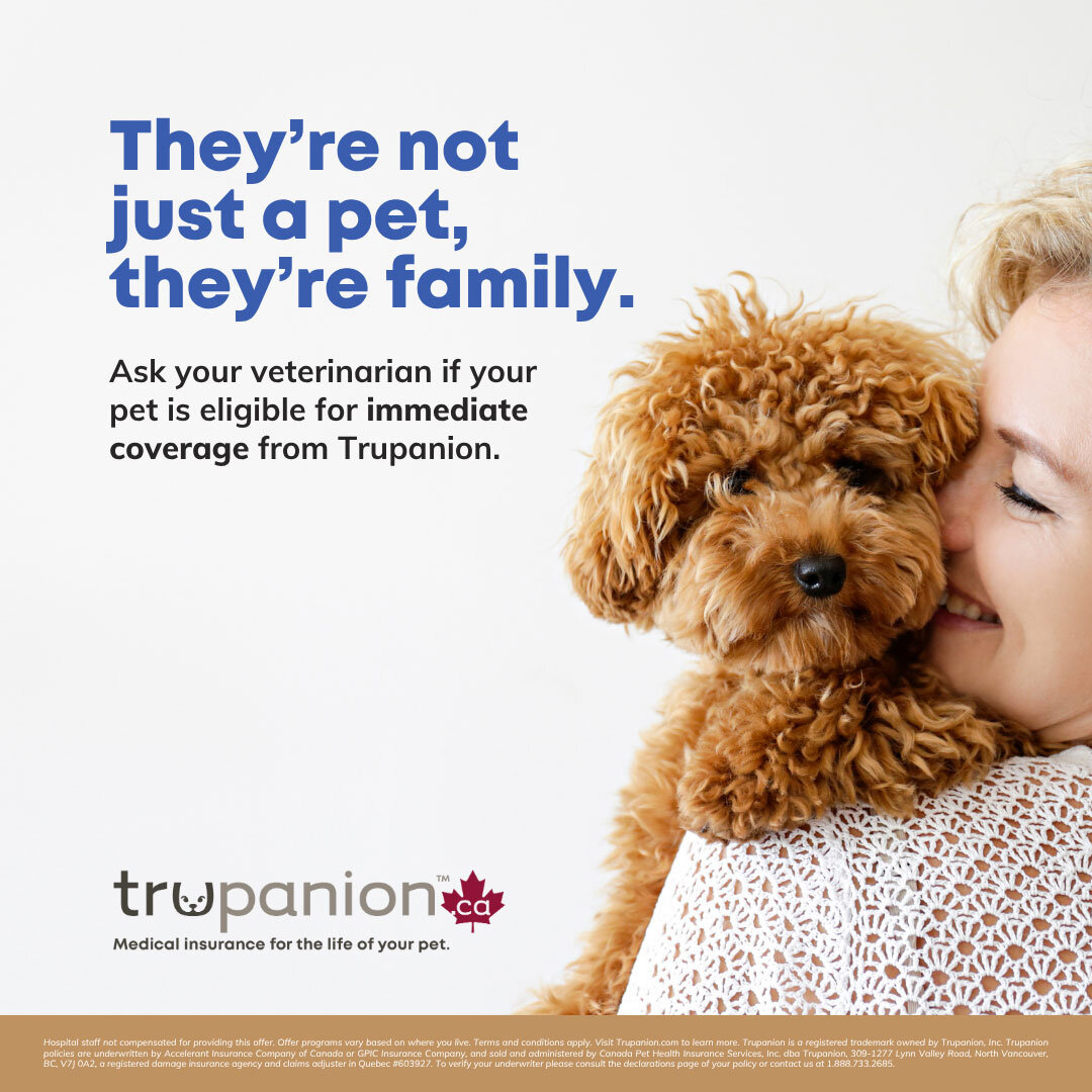 Sticky Note Exam Day Offer