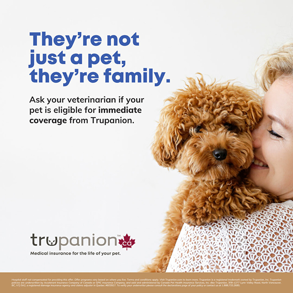 Sticky Note Exam Day Offer