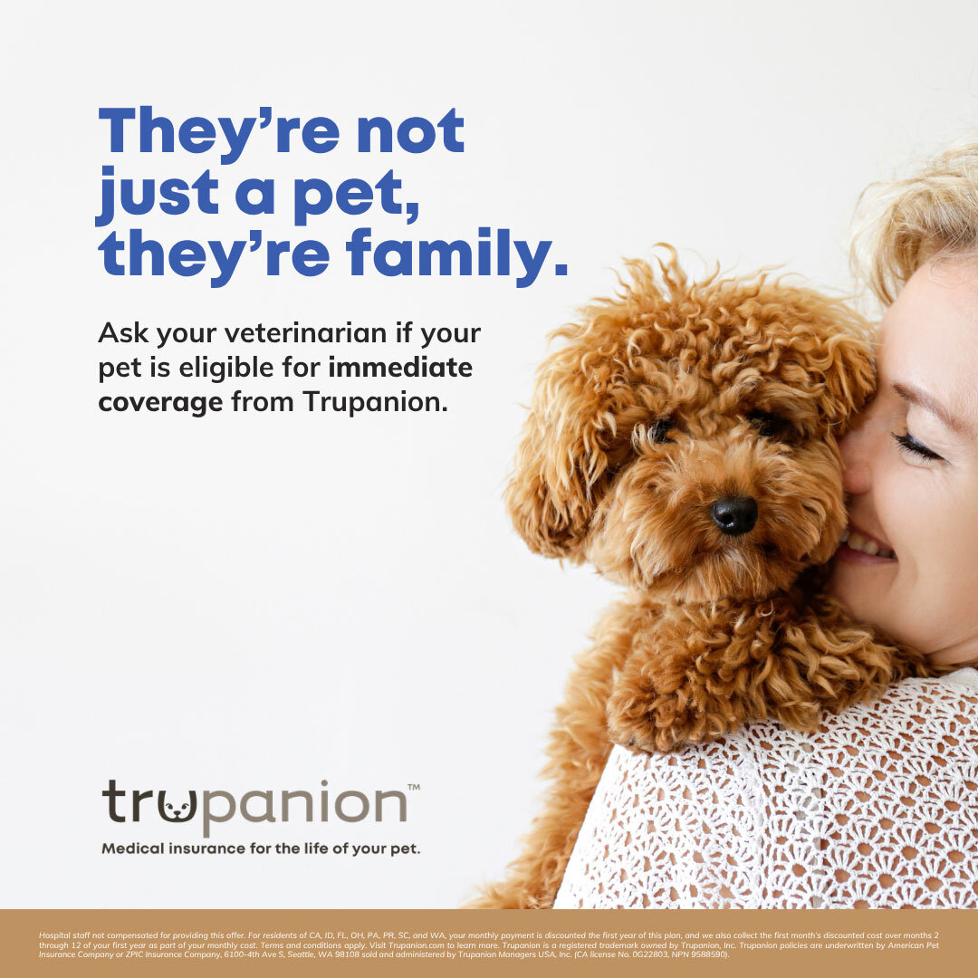 Sticky Note Exam Day Offer