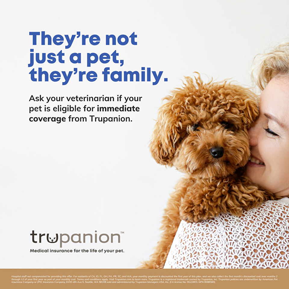 Sticky Note Exam Day Offer