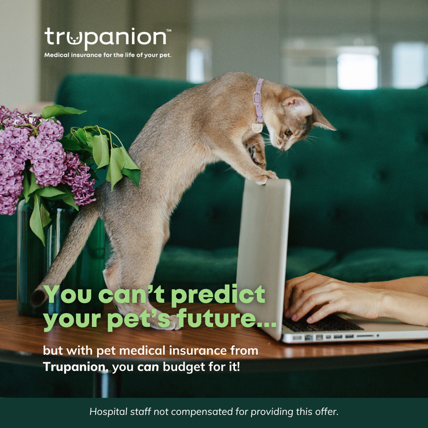 Sticky Note Exam Day Offer