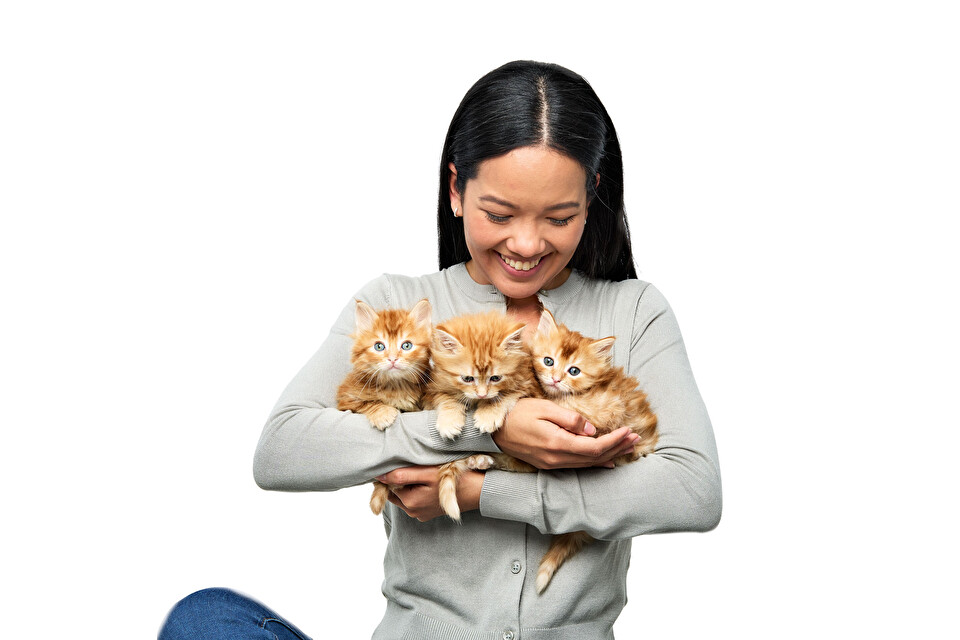 Veterinarios que ayudan a los animales necesitados