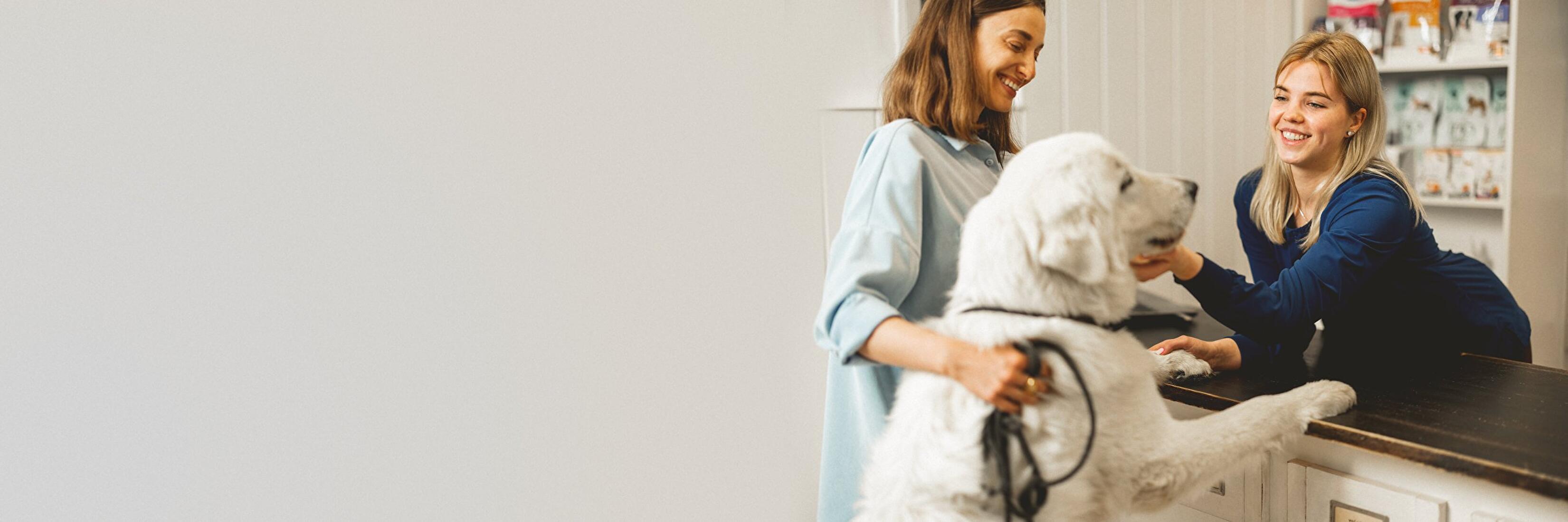 Trupanion s Easy Exam Day Offers trupanion-s-easy-exam-day-offers