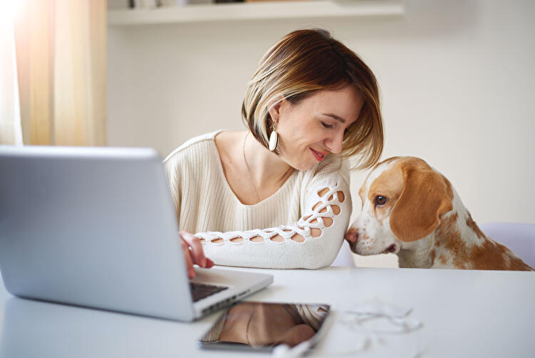 Your guide to more insured pets