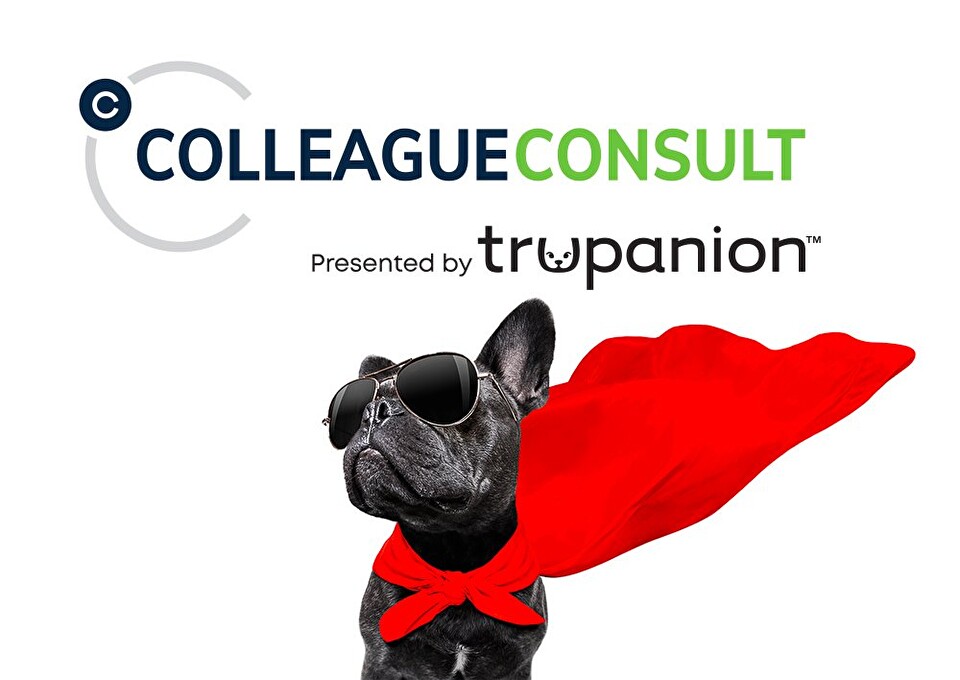 Colleague Consult Logo