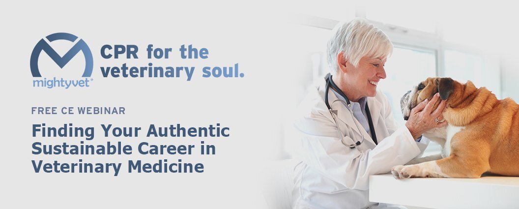 Finding Your Authentic Sustainable Career in Veterinary Medicine