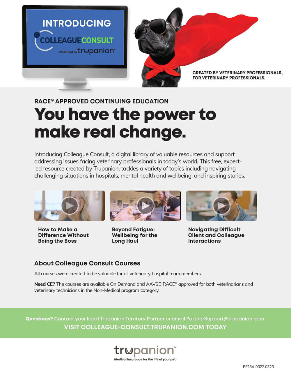 Colleague Consult Flyer