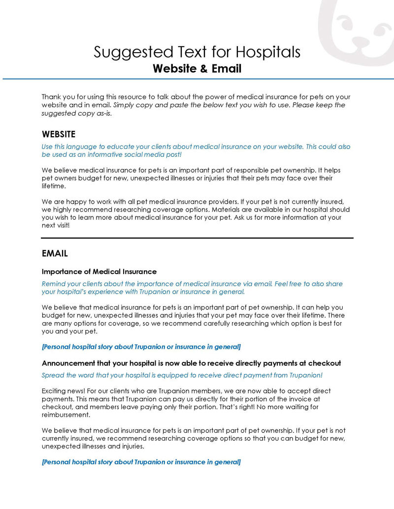 Promotional Language Flyer