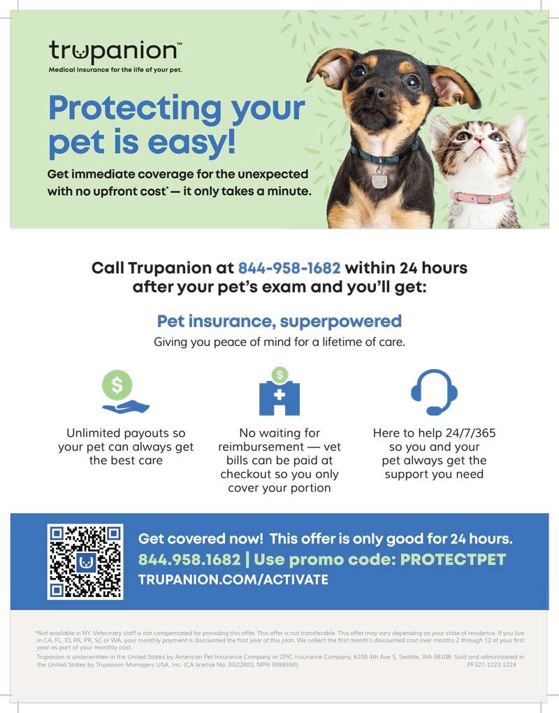 Flyer | Exam Day Offer