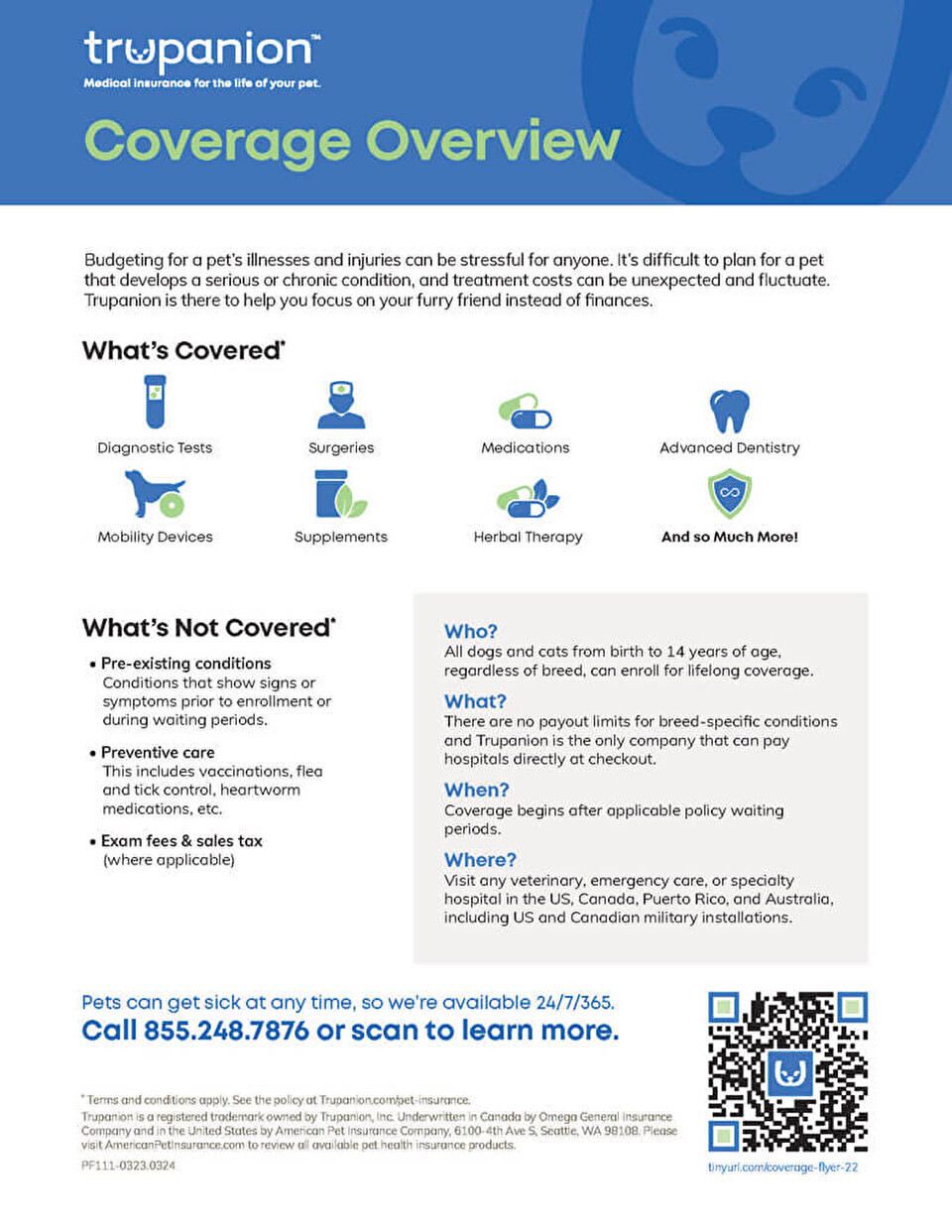 Coverage Overview Flyer