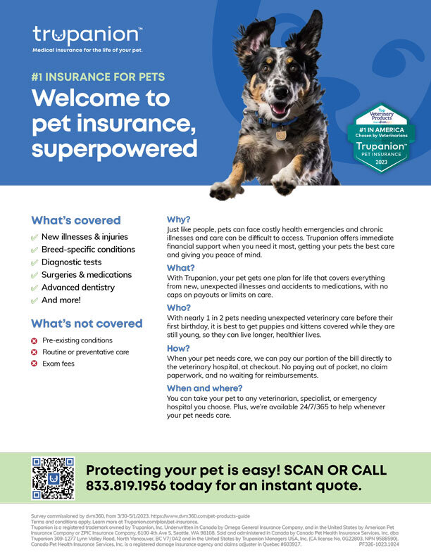 Coverage Overview Flyer