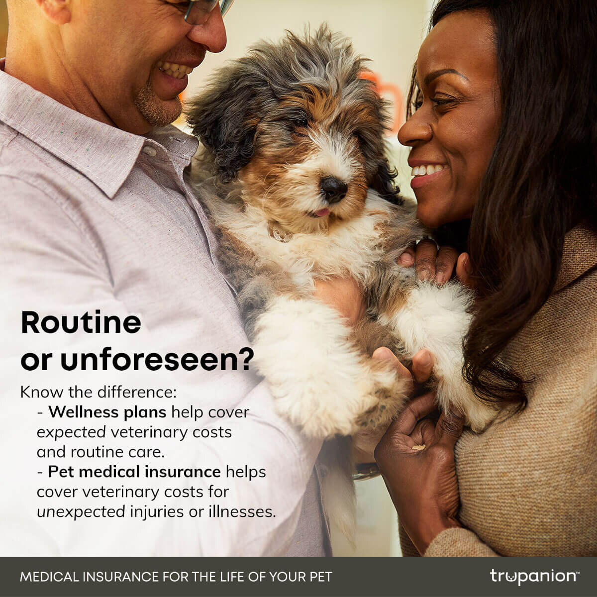 Promoboxx Example Content