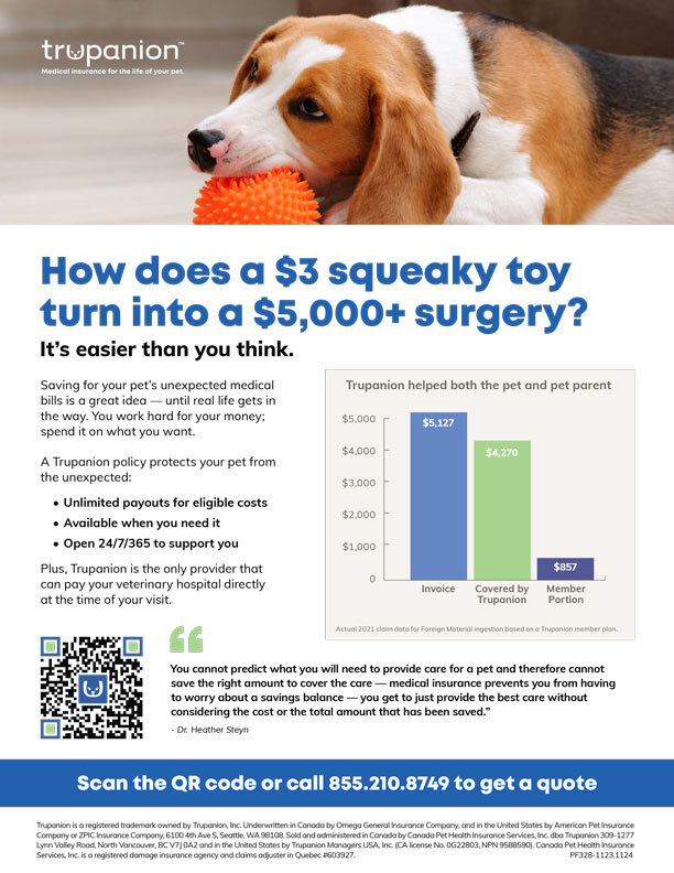 Promoboxx Example Content