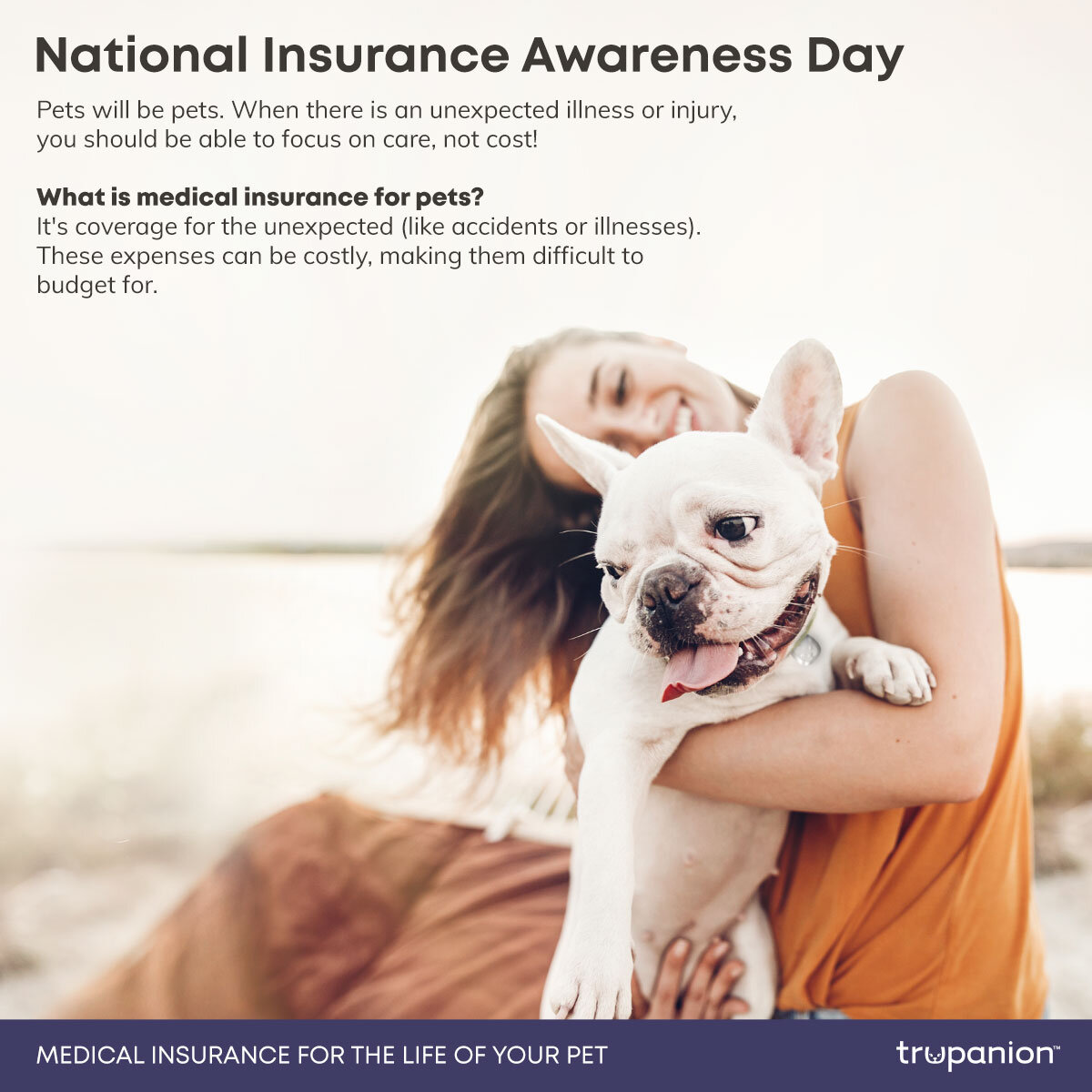 Promoboxx Example Content